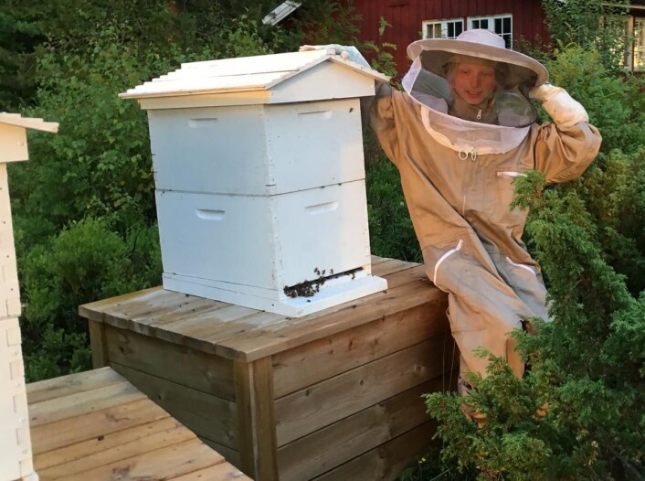 Andy Friedrichs datter Jessie har vist så stor interesse for bi-prosjektet på Kleivstua at hun har fått egen bi-drakt. (Foto: Kleivstua) Andy Friedrichs datter Jessie har vist så stor interesse for bi-prosjektet på Kleivstua at hun har fått egen bi-drakt. (Foto: Kleivstua)