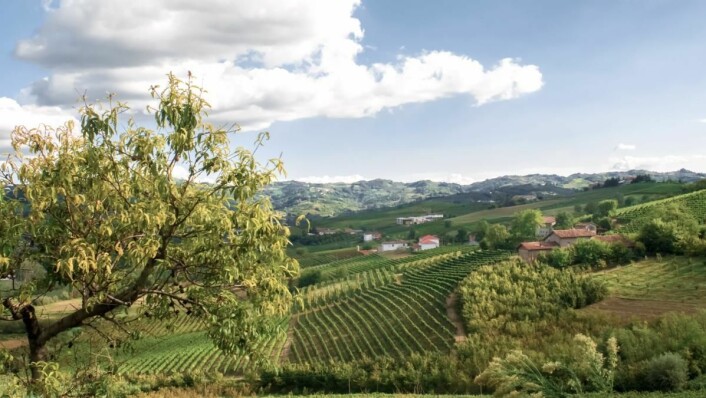 Carussin-gården ligger i San Marzano Oliveto, tre mil sør for Asti i Piemonte. (Foto: Non Dos/Carussin)