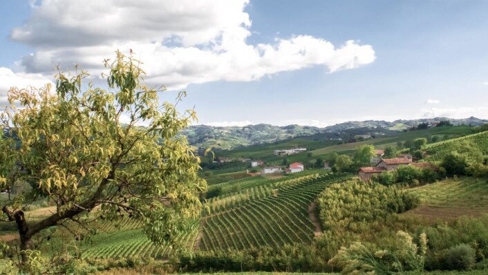 Carussin-gården ligger i San Marzano Oliveto, tre mil sør for Asti i Piemonte. (Foto: Non Dos/Carussin) Carussin-gården ligger i San Marzano Oliveto, tre mil sør for Asti i Piemonte. (Foto: Non Dos/Carussin)