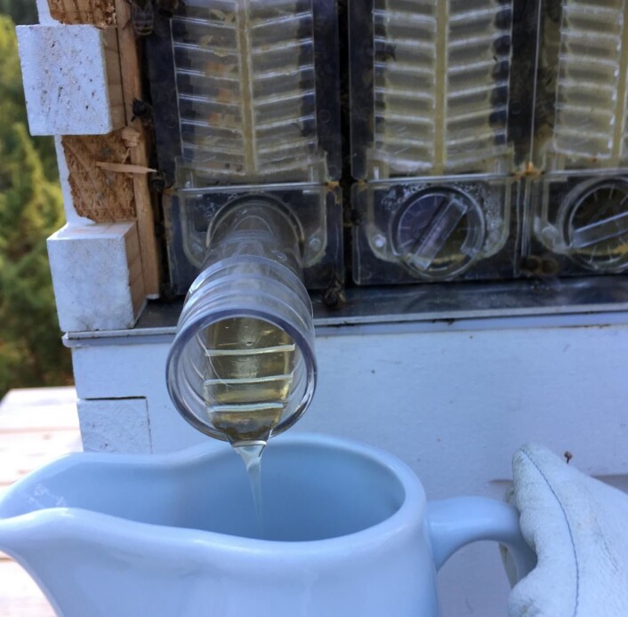 På Kleivstua produseres det honning fra australske Honey Flow-kuber. (Foto: Kleivstua) På Kleivstua produseres det honning fra australske Honey Flow-kuber. (Foto: Kleivstua)