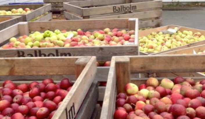 Illustrasjonsfoto: Ciderhuset Balholm Illustrasjonsfoto: Ciderhuset Balholm