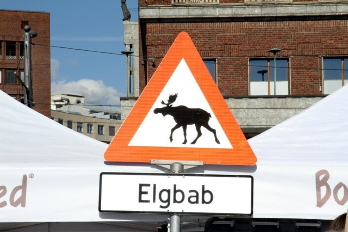 Illustrasjonsfoto: Morten Holt Illustrasjonsfoto: Morten Holt