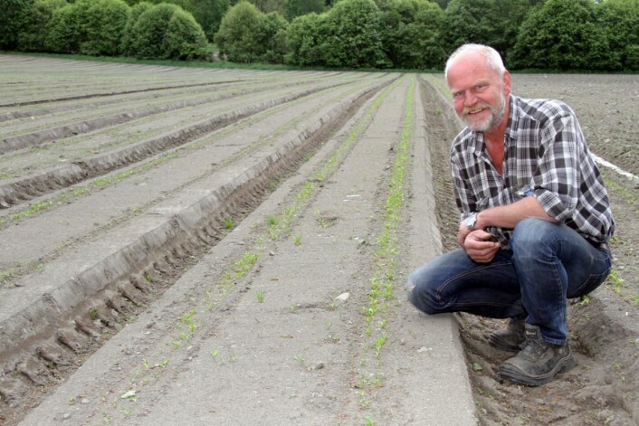  Roy Hasle i Rygge har brukt flere år på å teste nye typer reddiker. Nå lanseres de på markedet av Bama. (Foto: Morten Holt) Roy Hasle i Rygge har brukt flere år på å teste nye typer reddiker. Nå lanseres de på markedet av Bama. (Foto: Morten Holt)