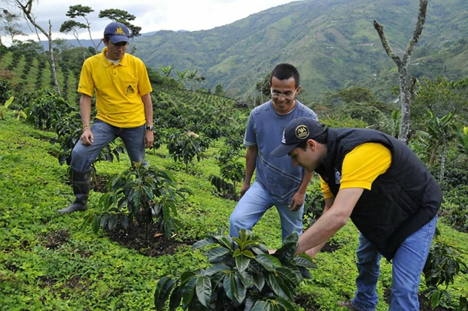 I Colombia har 61 kaffebønder jobbet tett med Nespresso for å skape den nøyaktige kvaliteten Nespresso var på jakt etter for å bringe deg denne kaffen. (Foto: Nespresso)