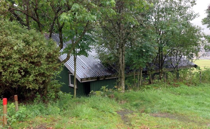 Det lille ysteriet ligger godt gjemt på gården. (Foto: Heidi Fjelland) Det lille ysteriet ligger godt gjemt på gården. (Foto: Heidi Fjelland)