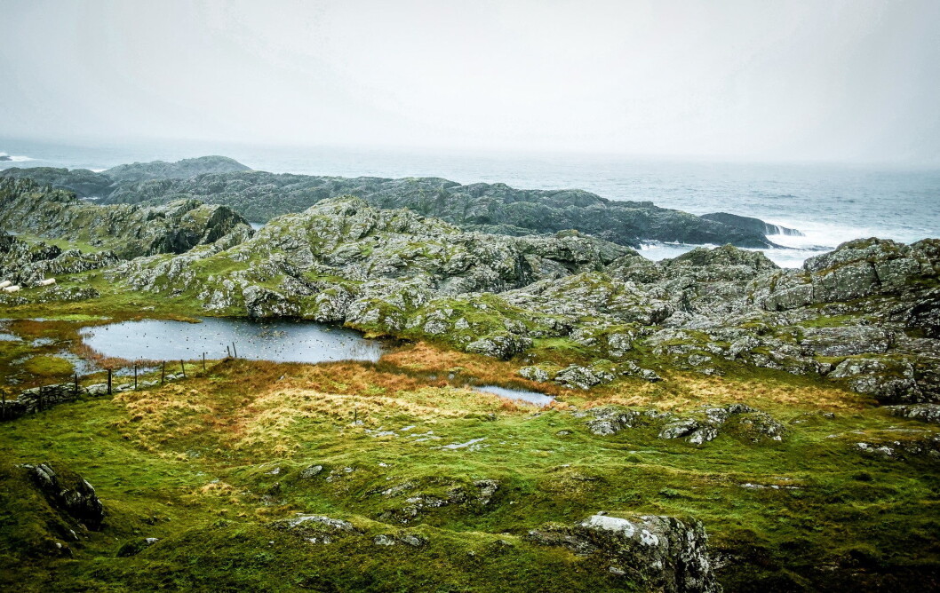 I dette området vest på Kvitsøy vil Base Property bygge et nytt spektkulært hotel. (Foto: Base Property) I dette området vest på Kvitsøy vil Base Property bygge et nytt spektkulært hotel. (Foto: Base Property)