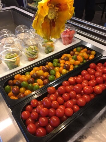 Er det mer fristende å spise mangefargede cherrytomater enn bare røde tomater? (Foto: Nofima) Er det mer fristende å spise mangefargede cherrytomater enn bare røde tomater? (Foto: Nofima)