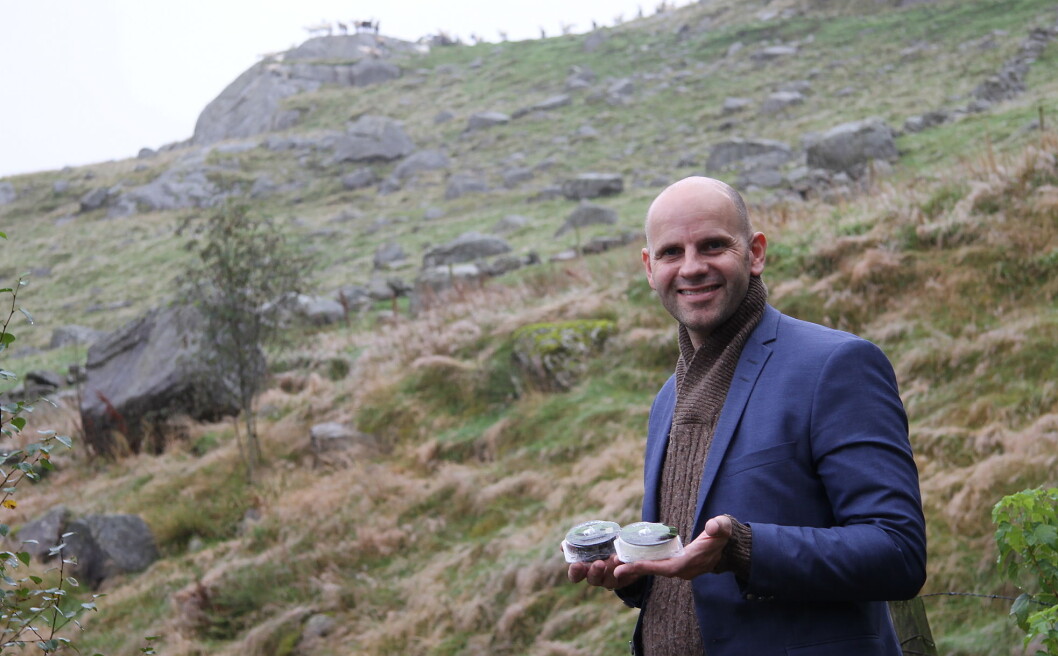 Bo Jensen satser enda hardere på sin osteproduksjon i 2018. Her med Lille Aske og Fjelltopp. (Foto: Morten Holt) Bo Jensen satser enda hardere på sin osteproduksjon i 2018. Her med Lille Aske og Fjelltopp. (Foto: Morten Holt)