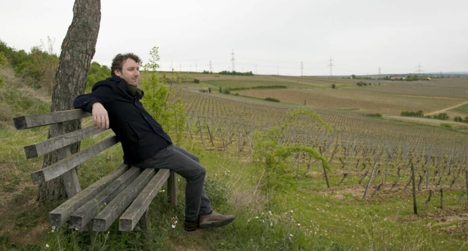 Simon Zimmermann skuer utover vinmarken til Weingut Wittmann. (Foto: Jørn G. Broll)