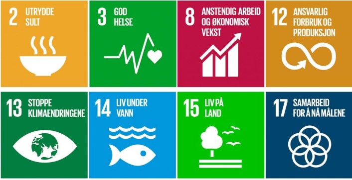 FNs bærekraftmål er fundamentet i Foodscape. FNs bærekraftmål er fundamentet i Foodscape.