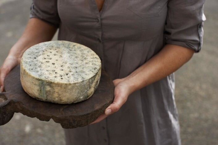 Kraftkar fra Tingvollost er den eneste norske osten som har vunnet World Cheese Awards. (Foto: Alexander Hagstadius) Kraftkar fra Tingvollost er den eneste norske osten som har vunnet World Cheese Awards. (Foto: Alexander Hagstadius)