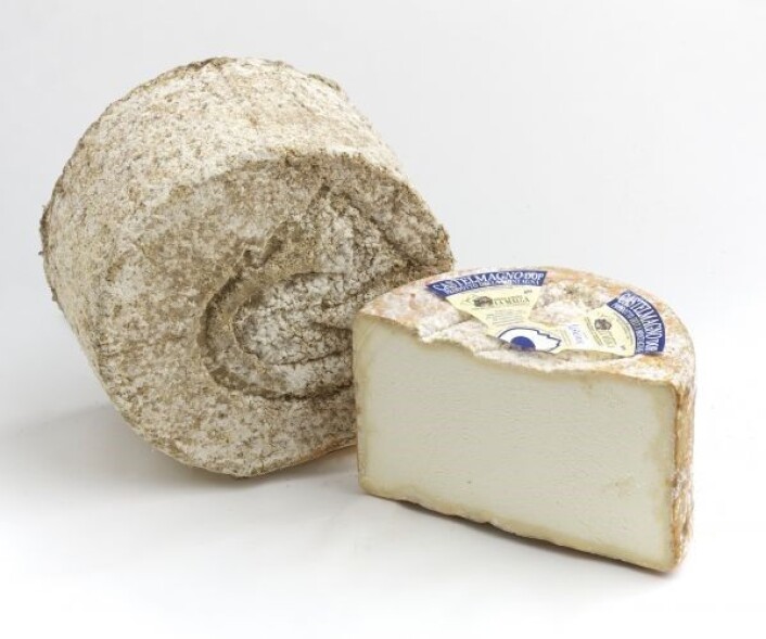 Castelmagno DOP. Castelmagno DOP.