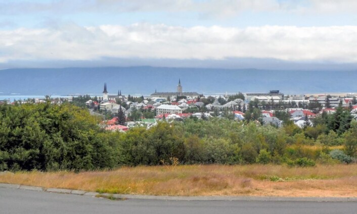 Dyrt: Reykjavik. (Foto: Colourbox.com) Dyrt: Reykjavik. (Foto: Colourbox.com)