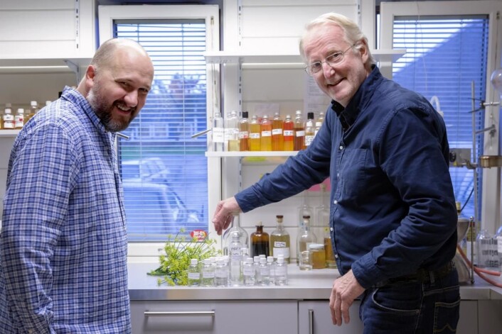 Hellstrøm Sommer er utviklet sammen med Det Norske Brenneri og Jon Bertelsen (til venstre). (Foto: Moestue Grape Selections) Hellstrøm Sommer er utviklet sammen med Det Norske Brenneri og Jon Bertelsen (til venstre). (Foto: Moestue Grape Selections)
