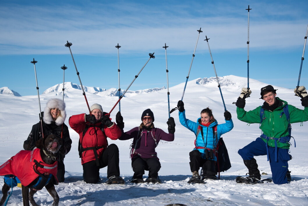 En del av teamet i Up Norway, fra venstre Agneta Linden Moen, Ingrid Maren Roe, Kristian Karlsen, Henriette Bendiksen og Torunn Tronsvang. på Dovrefjell i vinter. Snøhetta i bakgrunnen. (Foto: Sigbjørn Frengen) En del av teamet i Up Norway, fra venstre Agneta Linden Moen, Ingrid Maren Roe, Kristian Karlsen, Henriette Bendiksen og Torunn Tronsvang. på Dovrefjell i vinter. Snøhetta i bakgrunnen. (Foto: Sigbjørn Frengen)