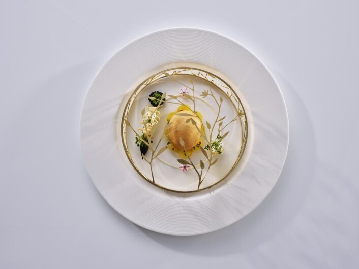 Eggeretten, som nå også er tilsatt spaghetti. (Foto: Tom Haga) Eggeretten, som nå også er tilsatt spaghetti. (Foto: Tom Haga)