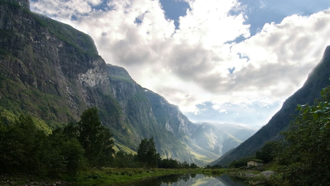 Illustrasjonsfoto: Norges Varemesse Illustrasjonsfoto: Norges Varemesse
