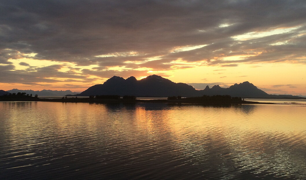 Illustrasjonsfoto: Morten Holt Illustrasjonsfoto: Morten Holt