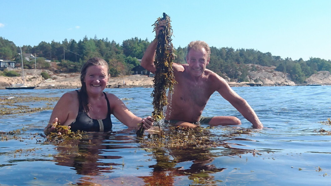 Anne-Lise og Bjørn Viken nyter et bad, midt i matfatet. (Foto: Heidi Fjelland) Anne-Lise og Bjørn Viken nyter et bad, midt i matfatet. (Foto: Heidi Fjelland)