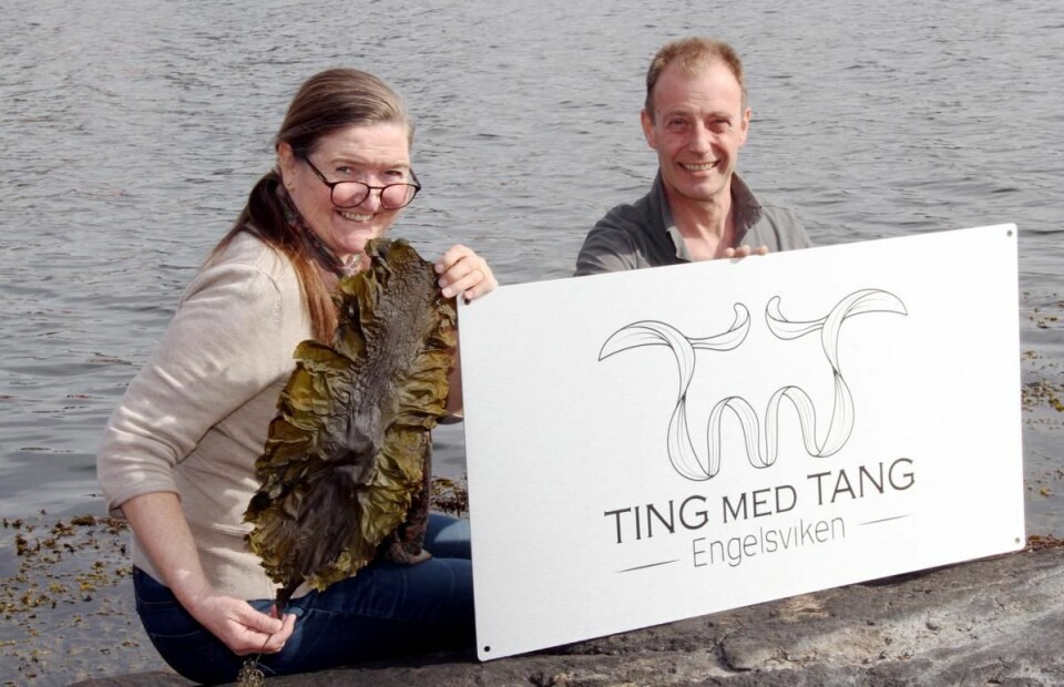 Anne-Lise og Bjørn Viken driver Ting med Tang fra Engelsviken utenfor Fredrikstad. (Foto: Heidi Fjelland)