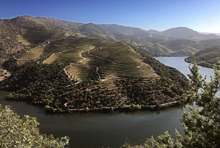 Fra Duoro i Portugal. (Foto: Altia) Fra Duoro i Portugal. (Foto: Altia)