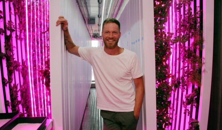 Magnus Humle i containeren på Filipstad-brygga. Det spesielle lyset, kombinert med en temperatur på rundt 20 grader, gir ideelle dyrkeforhold. (Foto: Morten Holt) Magnus Humle i containeren på Filipstad-brygga. Det spesielle lyset, kombinert med en temperatur på rundt 20 grader, gir ideelle dyrkeforhold. (Foto: Morten Holt)