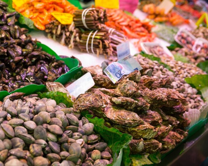 Det blir en skjellfest når tallerkenretten skal serveres i Bocuse d'Or 2019. (Foto: Colourbox.com) Det blir en skjellfest når tallerkenretten skal serveres i Bocuse d'Or 2019. (Foto: Colourbox.com)