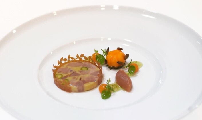 Utsnitt fra kaldmat-buffeten til Kokkelandslaget. Utallige timer forberedelser og planlegging ligger bak hver rett som ble presentert under VM i dag. (Foto: Eirik Nilssen, Matbyrået Impuls) Utsnitt fra kaldmat-buffeten til Kokkelandslaget. Utallige timer forberedelser og planlegging ligger bak hver rett som ble presentert under VM i dag. (Foto: Eirik Nilssen, Matbyrået Impuls)