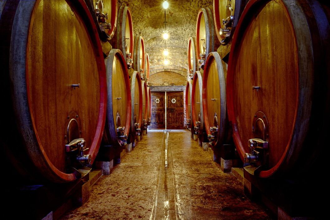 Fra kjelleren hos De Buris, der vinen er lagret. (Foto: Tommasi) Fra kjelleren hos De Buris, der vinen er lagret. (Foto: Tommasi)