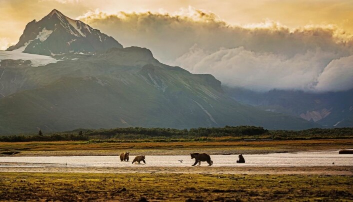 Alaska. (Foto: Getty Images/Hurtigruten) Alaska. (Foto: Getty Images/Hurtigruten)