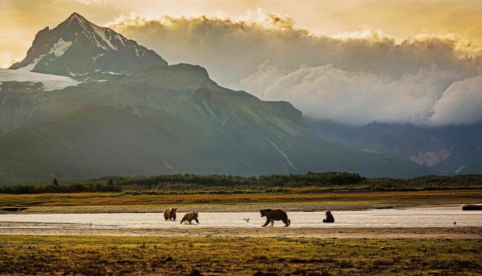 Alaska. (Foto: Getty Images/Hurtigruten)