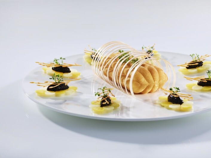 Norges chartreuse-rett. (Foto: Tom Haga) Norges chartreuse-rett. (Foto: Tom Haga)