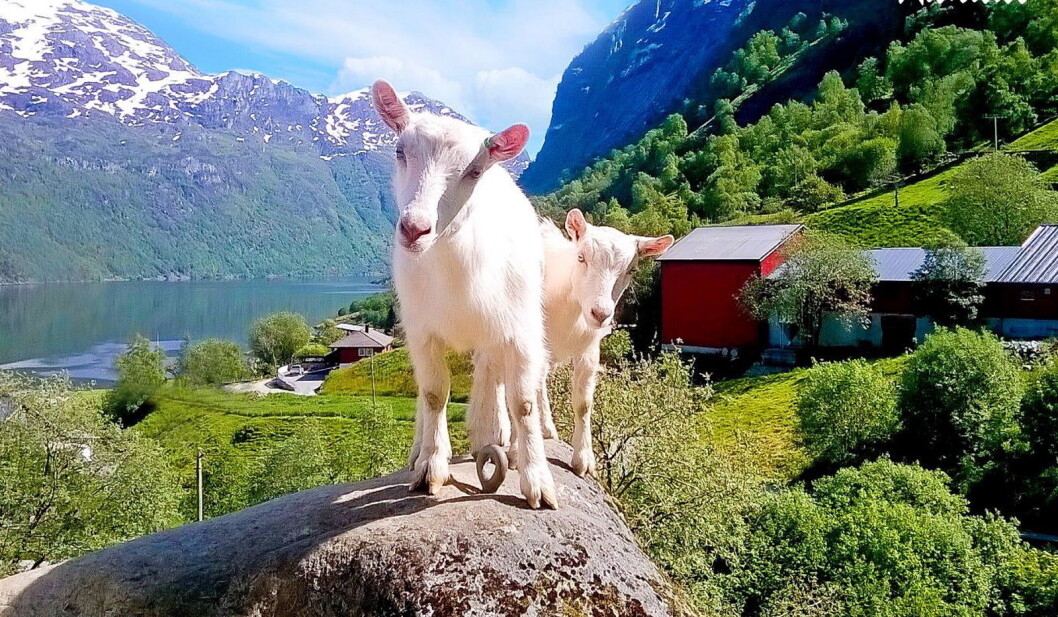 Illustrasjonsfoto: Det store kjetegildet Illustrasjonsfoto: Det store kjetegildet