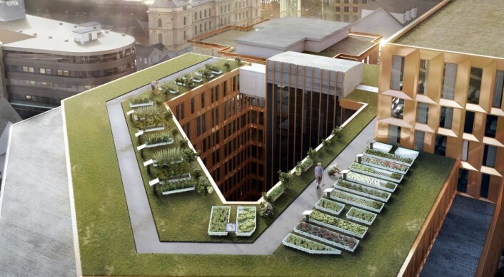 Norges største takåker på 200 kvadratmeter, GrowHub, på taket til Clarion Hotel The Hub. (Foto: Clarion Hotel) Norges største takåker på 200 kvadratmeter, GrowHub, på taket til Clarion Hotel The Hub. (Foto: Clarion Hotel)
