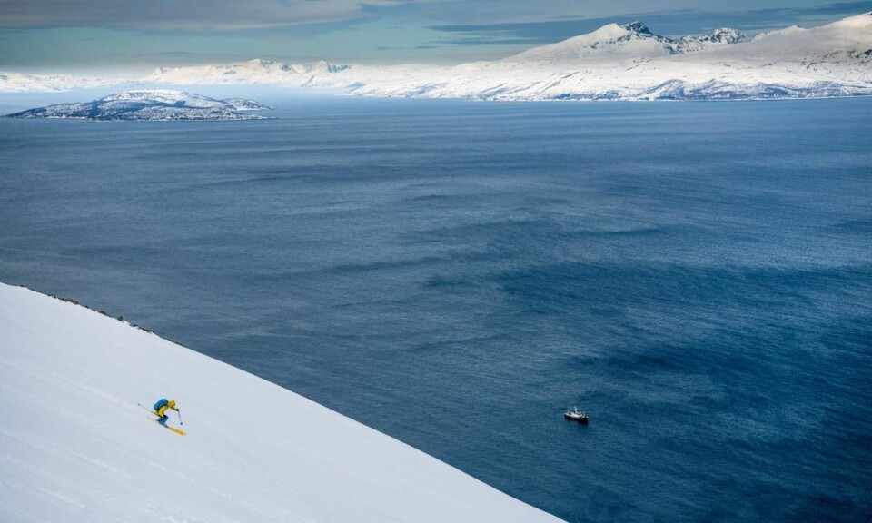 Arktiske råvarer, skikjøring fra fjell til fjære og en inspirerende matopplevelse på MS Nordstjernen. (Foto: Sverre Hjørnevik)