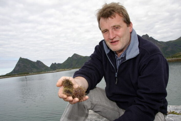 Roderick Sloan er én av de norske kandidatene (Foto: Morten Holt) Roderick Sloan er én av de norske kandidatene (Foto: Morten Holt)