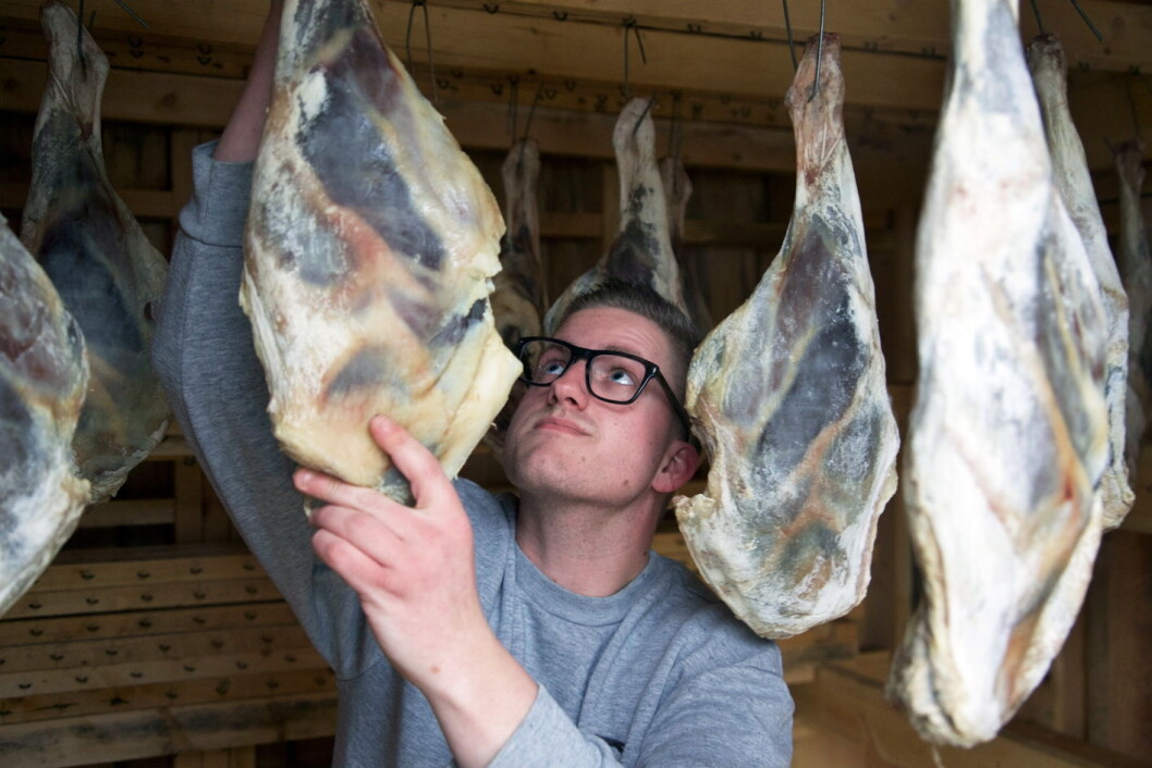 Rader med lammelår henger i eldhuset, klare til å røkes. Roger Vik bruker spon til å fyre opp i ovnen, før røyken føres gjennom et langt rør inn i eldhuset. (Foto: Lise Bjelland) Rader med lammelår henger i eldhuset, klare til å røkes. Roger Vik bruker spon til å fyre opp i ovnen, før røyken føres gjennom et langt rør inn i eldhuset. (Foto: Lise Bjelland)