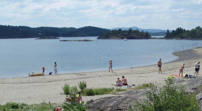 Storøyodden i Bærum. (Foto: FEE Norway) Storøyodden i Bærum. (Foto: FEE Norway)