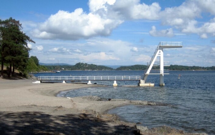 Hvalstrand. (Foto: FEE Norway) Hvalstrand. (Foto: FEE Norway)