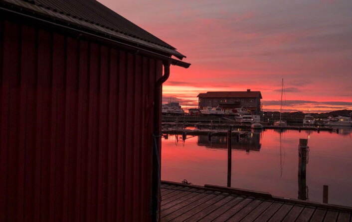 Foto: Andreas Silverblad Foto: Andreas Silverblad
