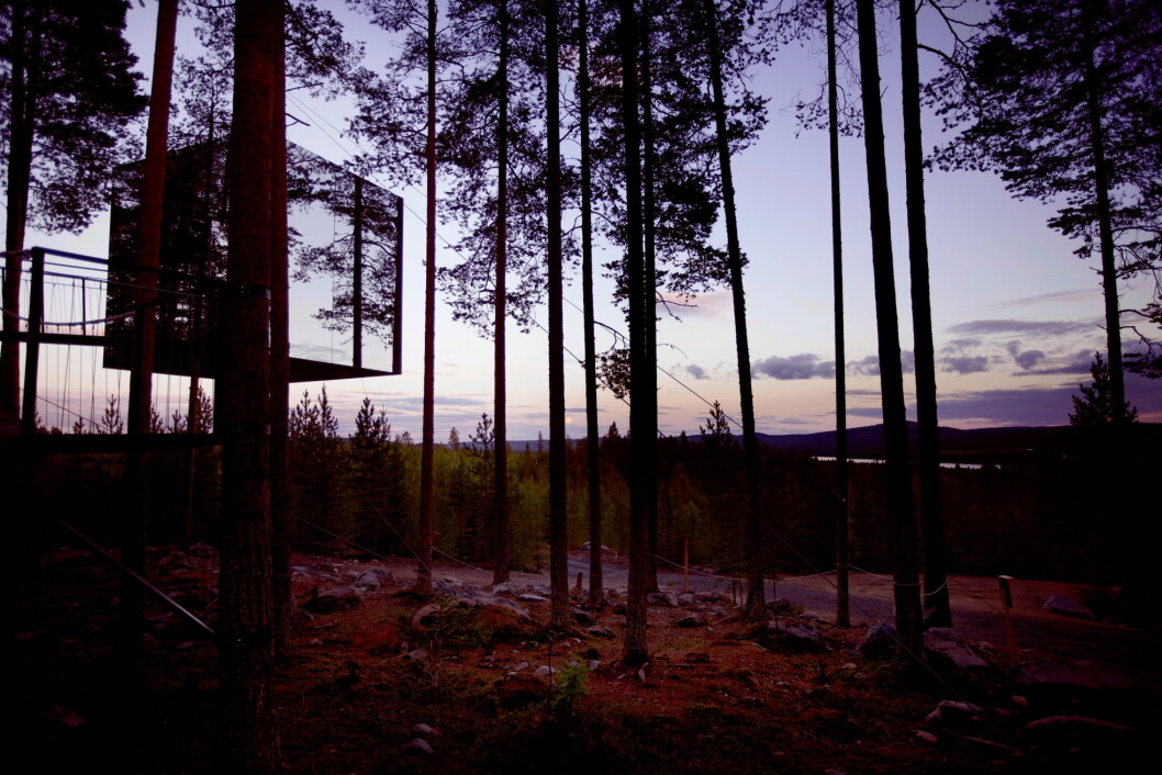 En av Tree Hotel sine unike hytter. (Foto: Tree Hotel) En av Tree Hotel sine unike hytter. (Foto: Tree Hotel)
