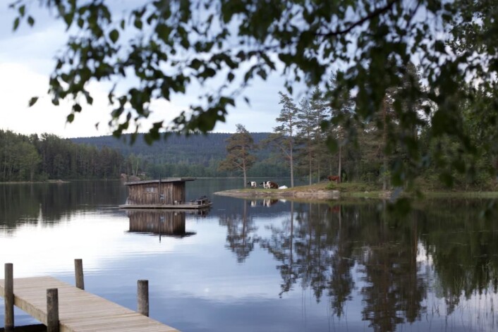 Den flytende hytta på Naturbyn. (Foto: Hanne Marit Tobiassen) Den flytende hytta på Naturbyn. (Foto: Hanne Marit Tobiassen)