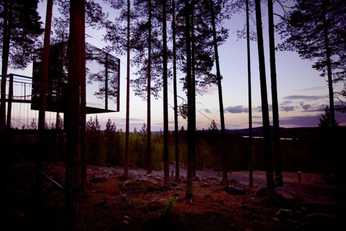 En av Tree Hotel sine unike hytter. (Foto: Tree Hotel) En av Tree Hotel sine unike hytter. (Foto: Tree Hotel)