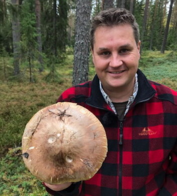 Vinneren av NM i kokkekunst i 1999, Tommy Østhagen, er nominert til kokkeprisen. (Foto: Liz Buer) Vinneren av NM i kokkekunst i 1999, Tommy Østhagen, er nominert til kokkeprisen. (Foto: Liz Buer)