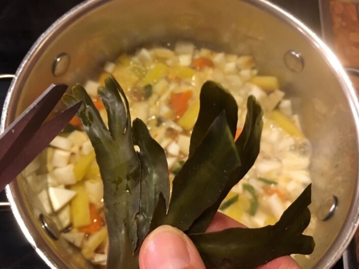 Suppe med tang er næringsrik og velsmakende. (Foto: Ting med tang/Tangweb) Suppe med tang er næringsrik og velsmakende. (Foto: Ting med tang/Tangweb)