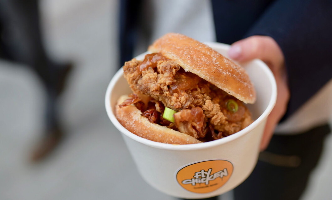 Illustrasjonsfoto: Fly Chicken Illustrasjonsfoto: Fly Chicken