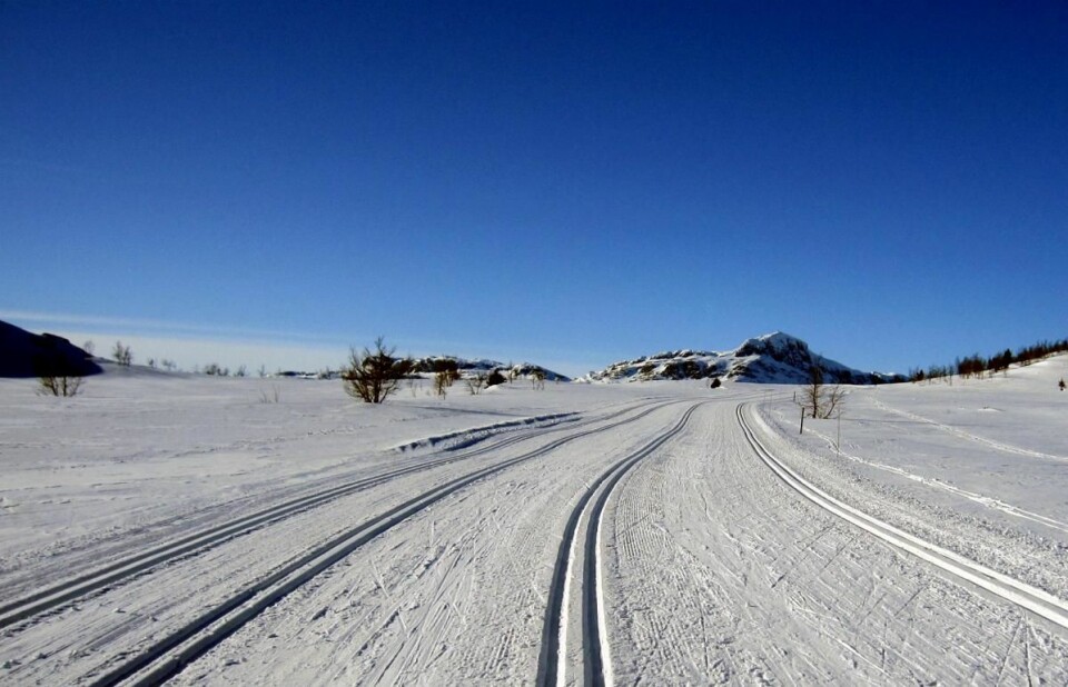 Beitostølen byr allerede på åtte mil med oppkjørte skiløyper. (Foto: Morten Holt)