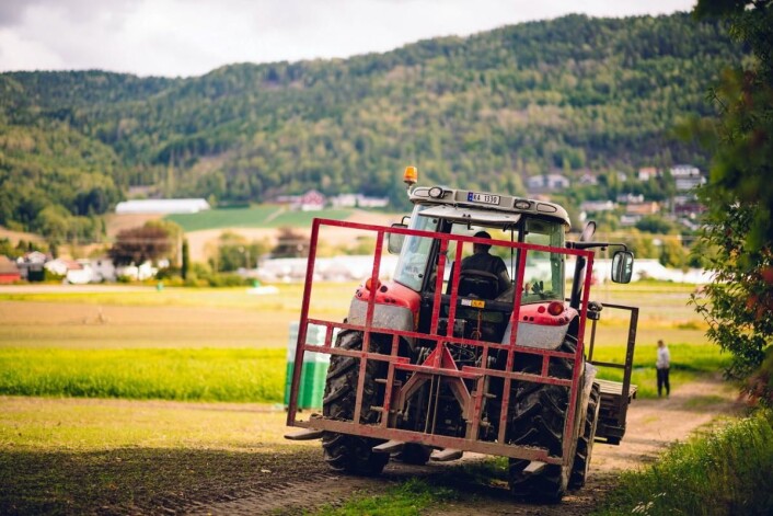 Illustrasjonsfoto: Engrosfrukt Illustrasjonsfoto: Engrosfrukt