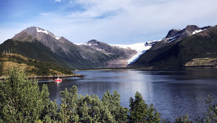 Illustrasjonsfoto: Morten Holt Illustrasjonsfoto: Morten Holt