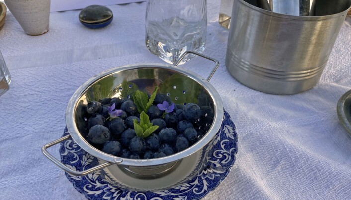 Blåbær og melk er tradisjonsdessert – bærene er ginmarinerte og serveres blant annet med fiolsukker fra egne beter. (Foto: Georg Mathisen) Blåbær og melk er tradisjonsdessert – bærene er ginmarinerte og serveres blant annet med fiolsukker fra egne beter. (Foto: Georg Mathisen)